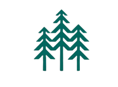 Windrose Tree Icon